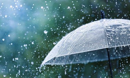 La poesia del giorno: Già la pioggia è con noi di Salvatore Quasimodo