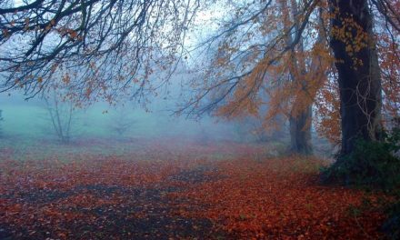 La poesia del giorno: Già mi parla l’autunno di Sandro Penna