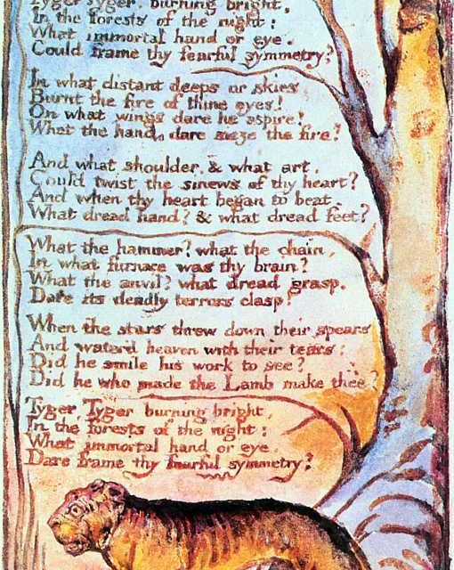 La poesia del giorno: La tigre di William Blake