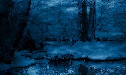 La poesia del giorno: Sostando presso un bosco in una sera innevata di Robert Frost