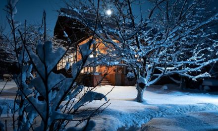 La poesia del giorno: Notte d’inverno di Boris Pasternak