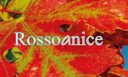 Rossoanice  di Grazia Previato